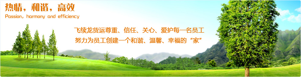 東莞市飛續(xù)龍貨運(yùn)代理有限公司